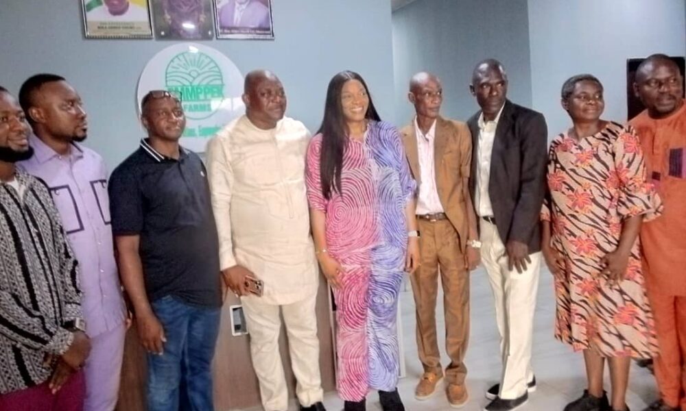 Food Security: NDDC Set To Partner Large Scale Farm Holdings In Niger Delta