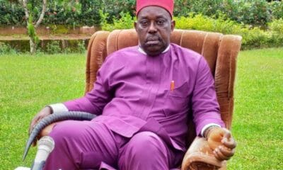 Awards: Ohanaeze Ndigbo Worldwide Hails Vice President General, Okeke-Ogene