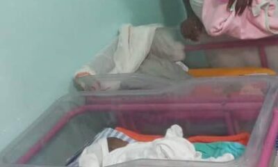 Family Blessed With Quadruplets After 12 Years Of Childlessness Seeks Help To Pay Hospital Bills Of N4M In Warri