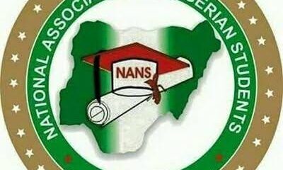 NANS To FG: Sanction Nigerian Institutions Offering Unaccredited Courses