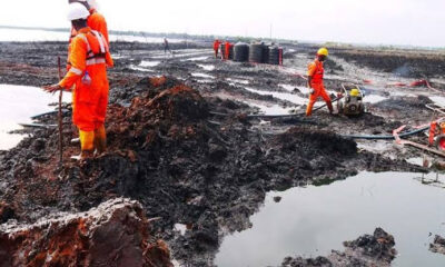 The Ogoni Lessons Of The Past 30 Years