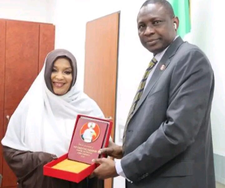 FATF Grey List: EFCC, NFIU Step Up Exit Plan