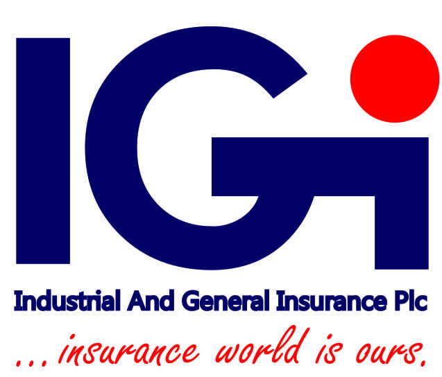 IGI Holds AGM, Unveils Ambitious Turnaround Plan, Makes Leadership Changes 
