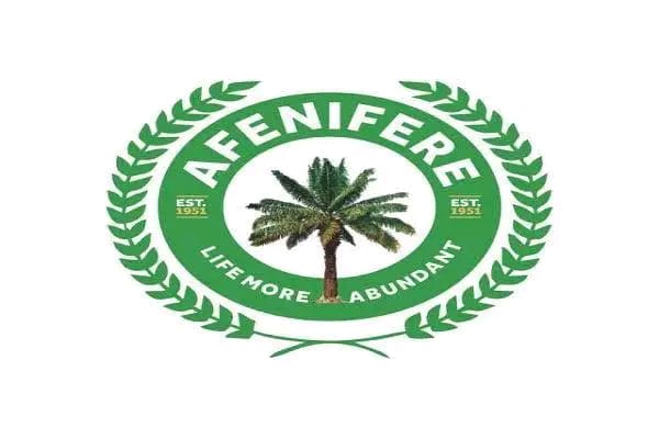 Afenifere And The Progressive Camp (1)