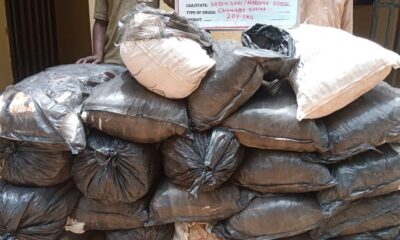 NDLEA Smashes Int’l Drug Syndicate, Seizes Loud Consignments, Arrests 5 Members
