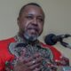 President Tinubu Condoles Malawi Over Passing Of Vice President, Saulos Chilima