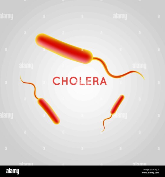 Alas! Let's Curtail The Spread Of Cholera Outbreak In Nigeria