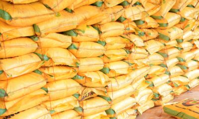 Senator Joel-Onowakpo Distributes 432 Bags Of Urea Fertilizers To Farmers In Delta South