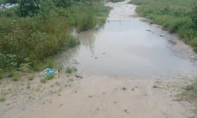 Adjekimoni Community Urges NDDC To Bring Back Road Contractor To Complete Work