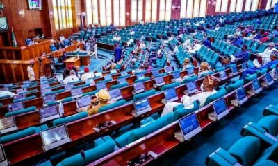 House Of Reps To Slash Salaries By Fifty Percent For Six Months To Support Palliative