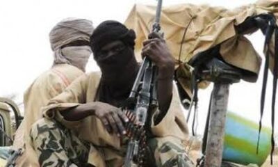 Boko Haram: Foundation Deradicalises 90 Female Insurgents In Borno