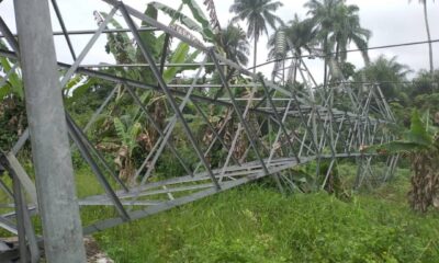 Bayelsa Gov Expresses Concern Over Power Outage