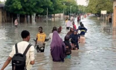 Zulum Forms Committee To Coordinate Flood Disaster Relief Disbursement In Maiduguri