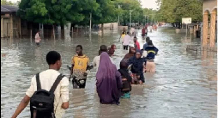 Zulum Forms Committee To Coordinate Flood Disaster Relief Disbursement In Maiduguri