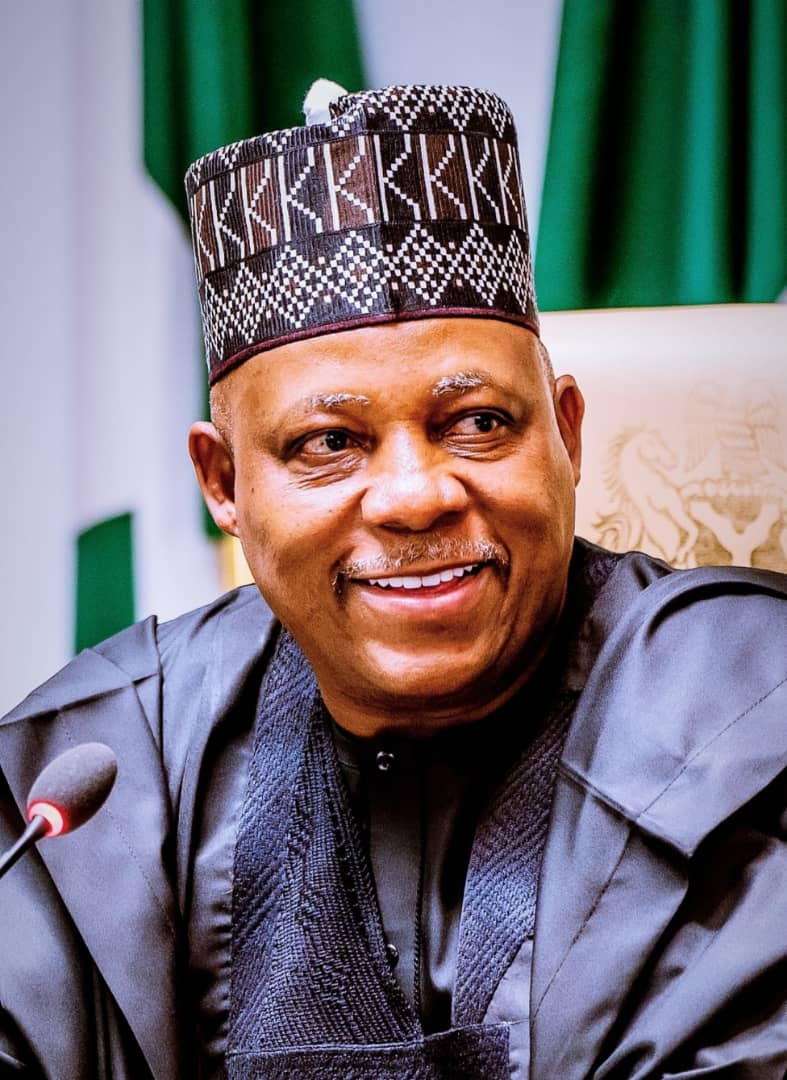 VP AT 58: Shettima Is A Man Of Courage, Strength, Says Omo-Agege