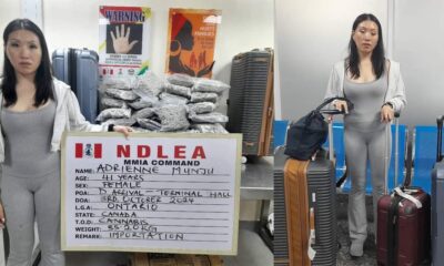 Canadian Lady Arrested At Lagos Airport As NDLEA Intercepts N9Bn Worth Opioids In Rivers