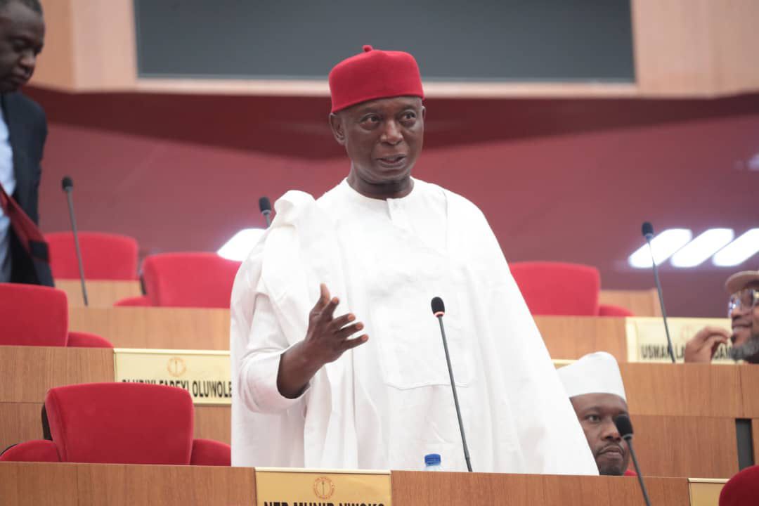 JUST IN: Senator Ned Nwoko's Bill To Establish National Social Security Agency Passes First Reading