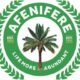 Pass Tax Reform Bills Without Delay’ - Afenifere Urges NASS