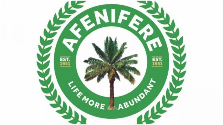 Pass Tax Reform Bills Without Delay’ - Afenifere Urges NASS