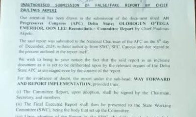 Delta APC Disowns Akpeki Submission Of 'Fake' Reconciliation Report To National Chairman 