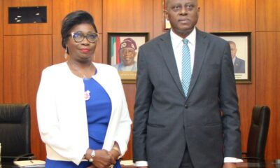 Dabiri-Erewa Applauds Cardoso On Launch Of Non-Resident Nigerian Accounts