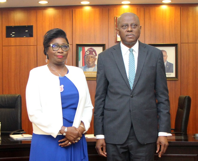 Dabiri-Erewa Applauds Cardoso On Launch Of Non-Resident Nigerian Accounts