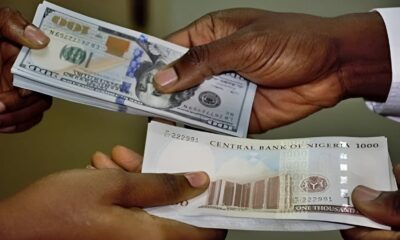 The Naira Finds Its Footing As It Stabilises: Bloomberg Report