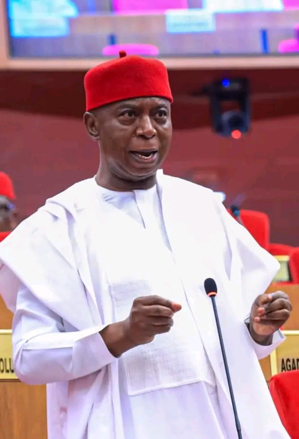 Senator Nwoko: A True Statesman And Tireless Advocate For Nigeria’s Progress