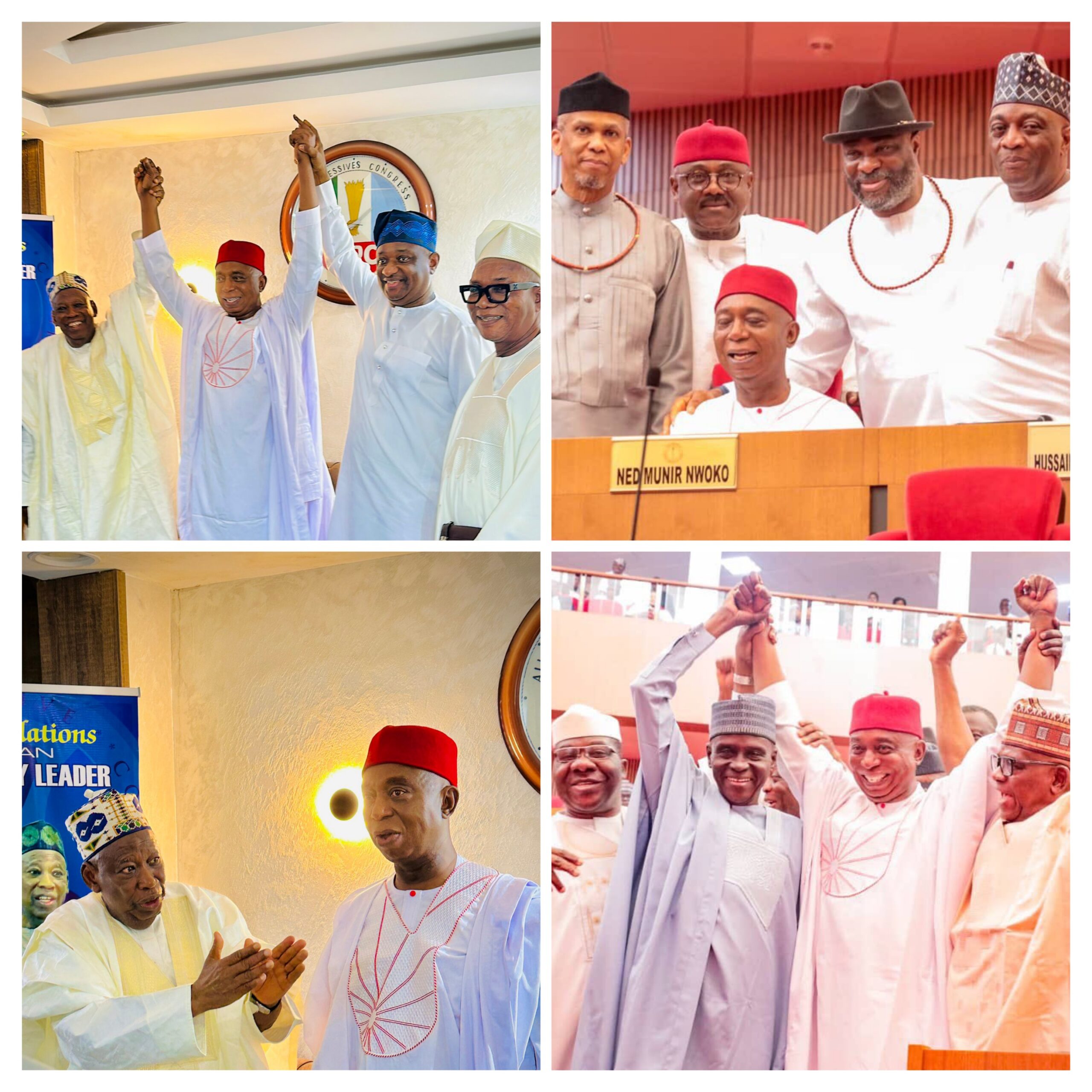 I Joined APC To Align With A Platform That Prioritizes National Interest, Economic Growth, People-Centered Policies –Nwoko