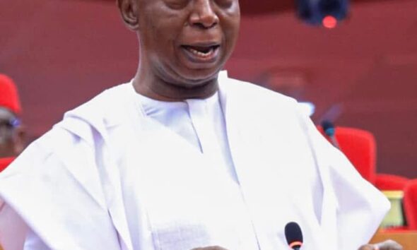 Nigeria Loses Billions Of Dollars Annually To Oil Theft, Illegal Bunkering, Pipeline Vandalism –Sen. Ned Nwoko