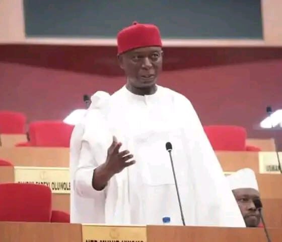 Senator Ned Nwoko: Championing Development Without Burden Of Corruption Over His Neck