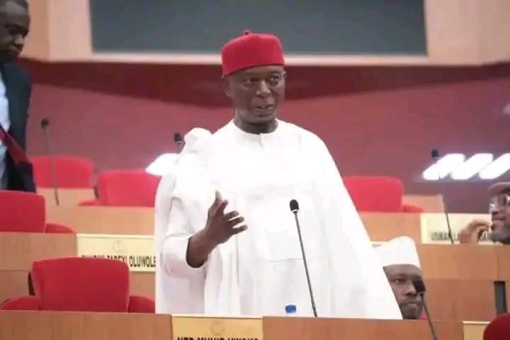 Senator Ned Nwoko: Championing Development Without Burden Of Corruption Over His Neck