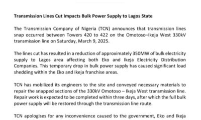 Transmission Lines Cut Impacts Bulk Power Supply To Lagos State