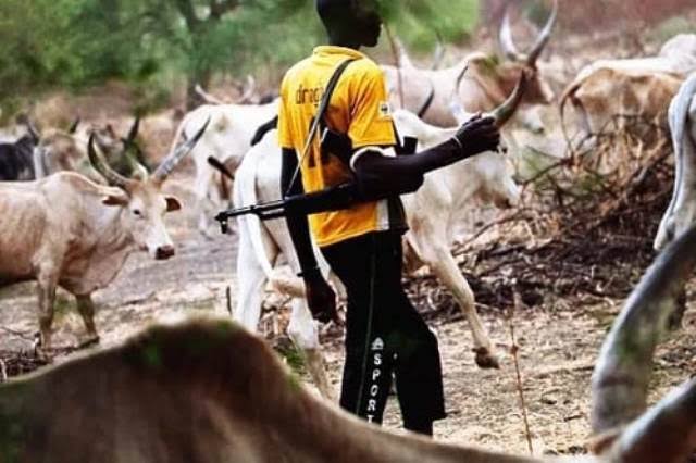 Why Is Niger-delta Besieged?