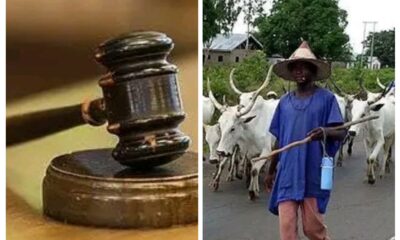 Ondo Court Jails Herdsman For Violating Anti-Open Grazing Law, Destroying Farm Crops Worth N50M
