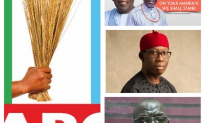 Defection: PDP Internal Crisis, A Deeply Rooted Political Cancer - Oghenesivbe