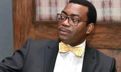 Presidency Faults Adesina's Claims On Nigeria's GDP Per Capita, Says Nigerians Better Off Than In 1960