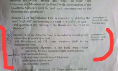 Delta: Rights Activist Faults Security Corps Bill, Says Politicians Shouldn’t Nominate Vigilante Members