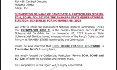 Anambra Governorship Candidate Nomination Form Signed By Acting National Secretary Arch. Koshoedo - PDP NWC Clears Air
