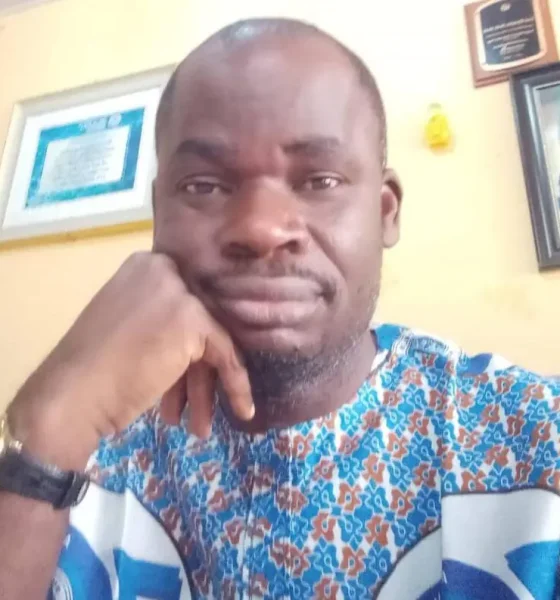 Is Fencing Nigeria The Solution?