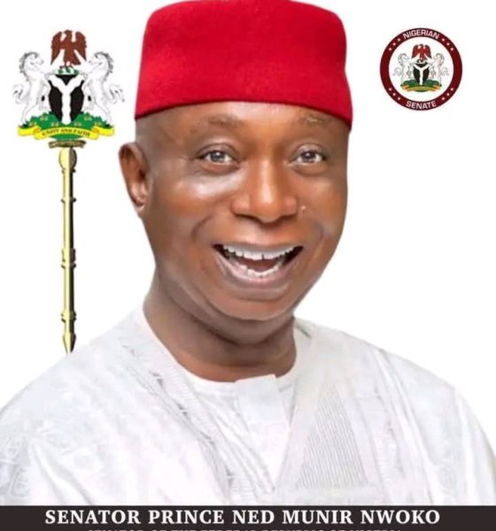 Ned Nwoko, Birthing A New Era For Delta North