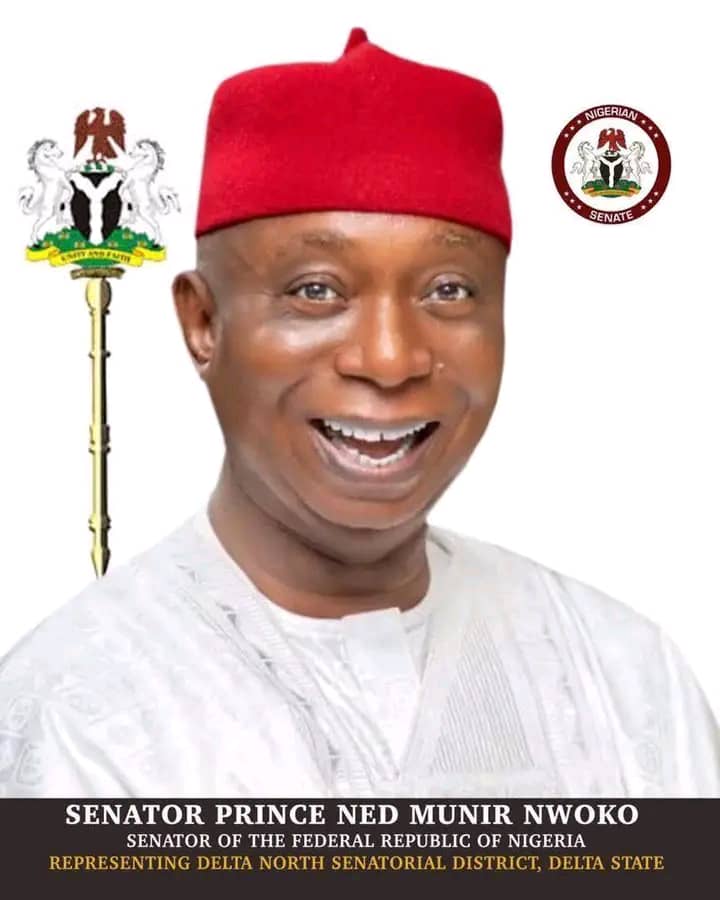 Why The Anioma State Public Hearing Is Holding In Uyo, Not Asaba ---Senator Ned Nwoko