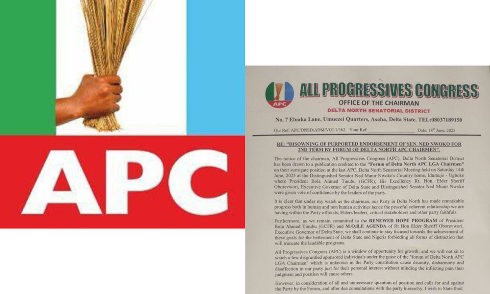 Ned Nwoko: Delta North APC Chairman Dissolves LGA Chairmen, APC Ward Chairmen Fotuns