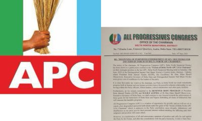 Ned Nwoko: Delta North APC Chairman Dissolves LGA Chairmen, APC Ward Chairmen Fotuns