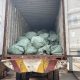 FOU 'C' Customs Foils N3.6B Donkey Skin Illegal Export