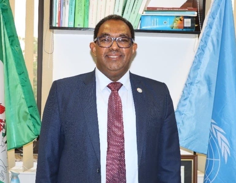 UN Appoints Rep For Nigeria, ECOWAS