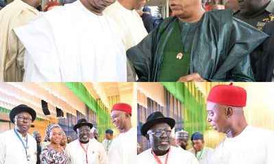 APC 14th NEC Meeting: Senator Nwoko Joins Delta Stakeholders, As Party Charts Path Forward