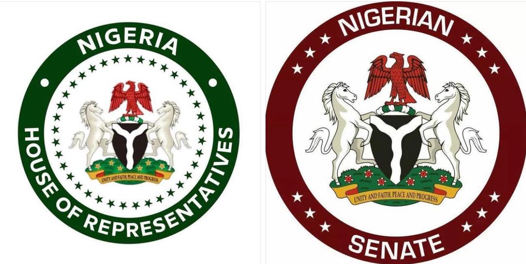 Reckless Driving: Enact Legislation Governing Trucks Transporting Gasoline, Other Products, Rights Activist Urges NASS