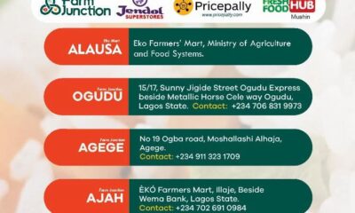 Eko Rice Now Available Across Lagos