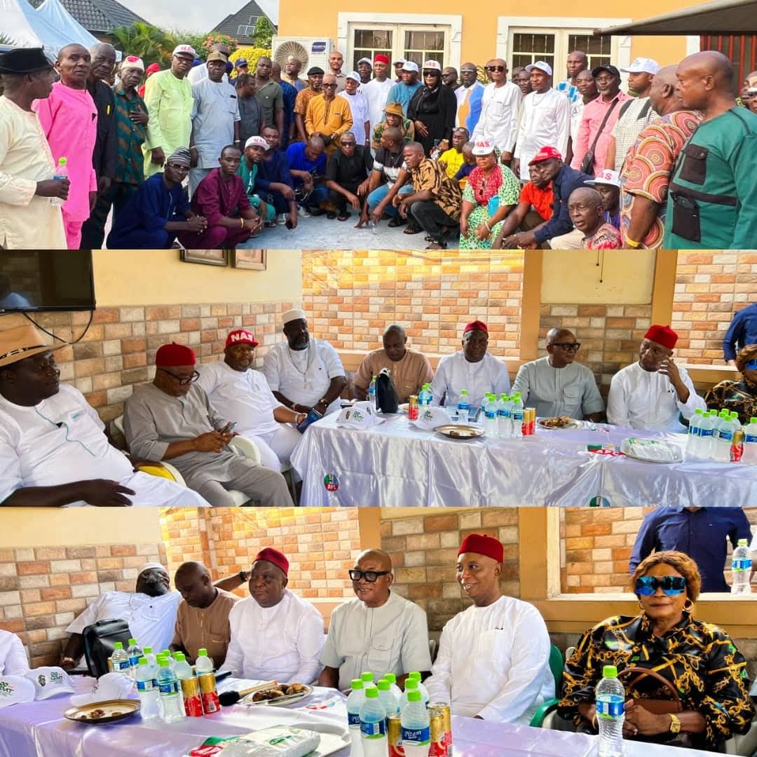 Delta North: Ned Nwoko Moves To Strengthen APC, Meets Exco In Senatorial District, 9 LGAs, 98 Wards